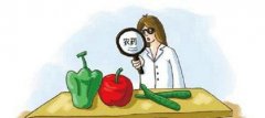 我們的蔬菜批發(fā)市場的“安全”如何保證？