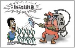 為什么蕹菜的農(nóng)殘含量高？