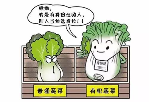 如何正確檢測水果的甜度？