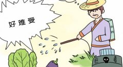 農殘檢測儀！食品安全檢測中不可少的一環(huán)