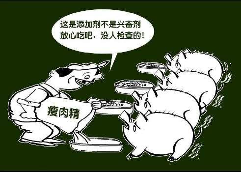 土雞蛋一天攝入多少合適？