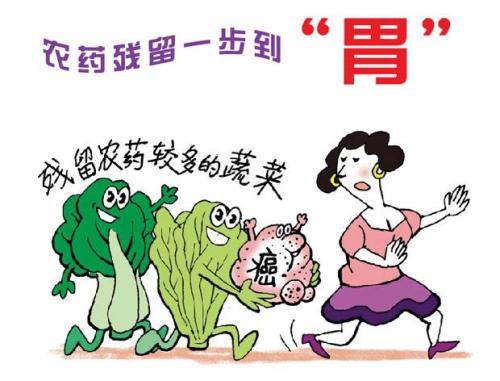 白菜農(nóng)殘你知道多少呢？