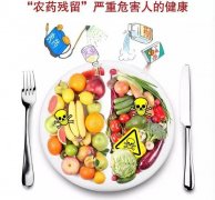 山東云唐的農(nóng)藥殘留檢測儀怎么樣？